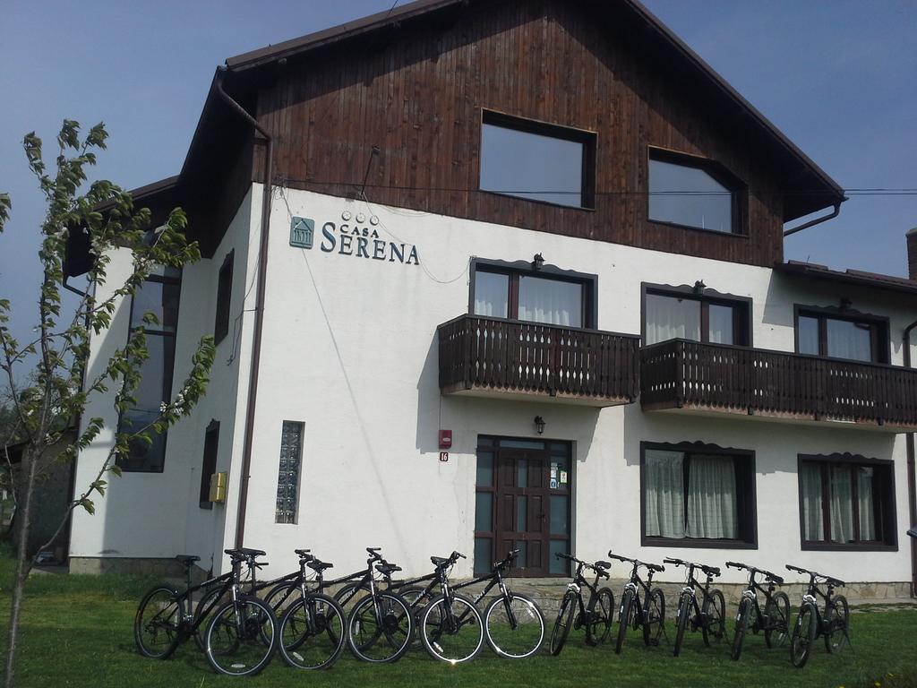 Serena Guesthouse Bran Bran  Dış mekan fotoğraf
