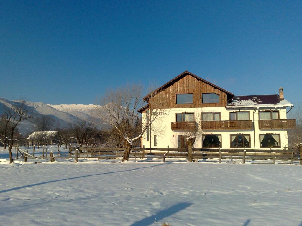 Serena Guesthouse Bran Bran  Dış mekan fotoğraf