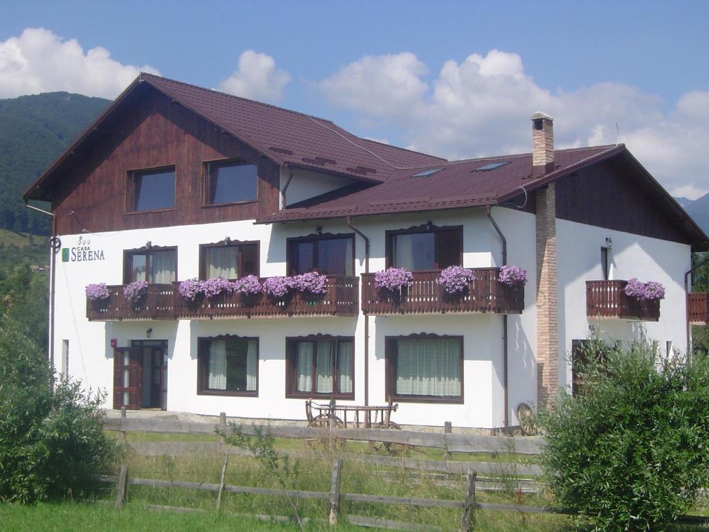 Serena Guesthouse Bran Bran  Dış mekan fotoğraf