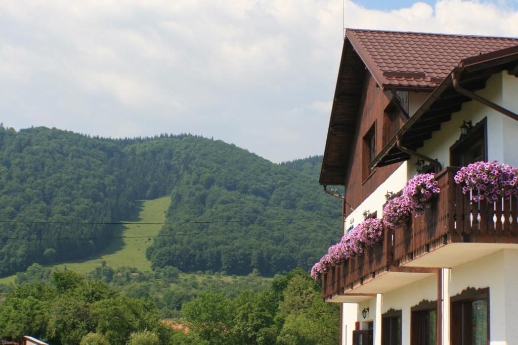 Serena Guesthouse Bran Bran  Dış mekan fotoğraf
